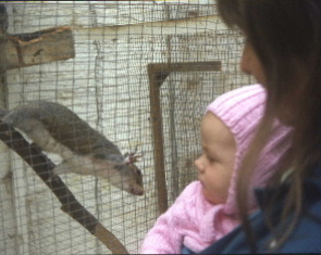 SARAH AND A SQUIRREL